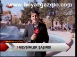 Mevsimler Şaşırdı