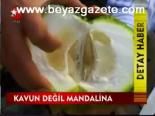 Kavun Değil Mandalina