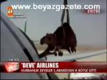 Deve Airlines