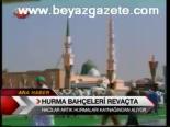 Hurma Bahçeleri Revaçta