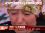 Neşe Sır Oldu