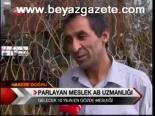 Parlayan Meslek Ab Uzmanlığı