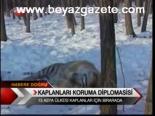 Kaplanları Koruma Diplomasisi