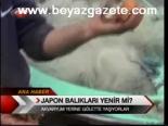 Japon Balıkları Yenir Mi?