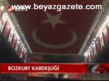 Bozkurt Kardeşliği