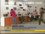 Organ Nakli