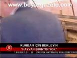 Kurban İçin Bekleyin