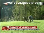 Bambi'yi Vurdular