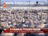 Kurbanlık Piyasası Açıldı