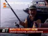 Boğaz'da İstavrit Akını