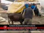 Kurban Seçerken Kurban Olmayın