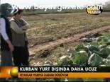 Kurban Yurt Dışında Daha Ucuz