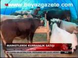 Merketlerde Kurbanlık Satışı