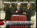 Hormonlarımız Tehdit Altında