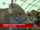 Kurban Pazarları Hareketli