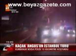Kaçak Angus'un İstanbul Turu
