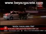 Boğa Yakalama Timi