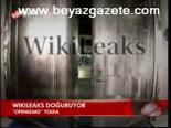 Wıkıleaks Doğrulanıyor