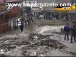 Aydın'da Sel Can Aldı