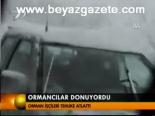 Ormancılar Donuyordu