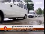 Şifa Deposu Bitkiler