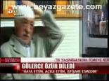 Gülerce Özür Diledi