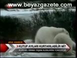 Kutup Ayıları Kurtarılabilinir Mi?