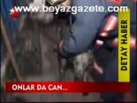 Onlar Da Can...