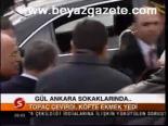 Gül Ankara Sokaklarında...