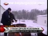 Tavuk Çifliği İflas Edince