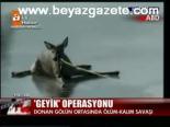 Geyik Operasyonu