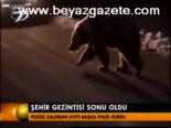 Şehir Gezintisi Sonu Oldu