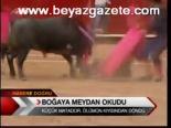 Boğaya Meydan Okudu