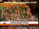 Lodos Hamsiyi Vurdu