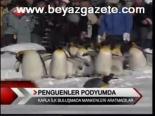 Penguenler Podyumda