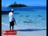 Burada Yüzmek Yürek İster