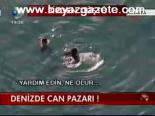 Denizde Can Pazarı !