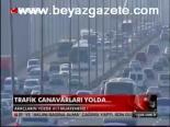 Trafik Canavarları Yolda...
