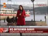 Kış Ortasında Bahar