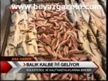 Balık Kalbe İyi Geliyor