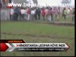 Hindistan'da Leopar Köye İndi!