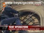 Kedi Operasyonu