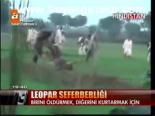 Leopar Seferberliği