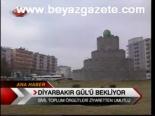 Diyarbakır Gül'ü Bekliyor