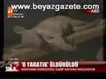 O Yaratık Öldürüldü