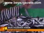 Balık Pazarında Durum