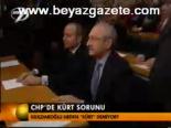 Chp'de Kürt Sorunu