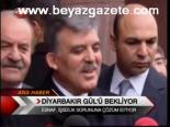 Diyarbakır Gül'ü Bekliyor
