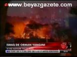 İsrail'de Orman Yangını