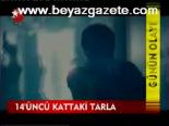14'üncü Kattaki Tarla